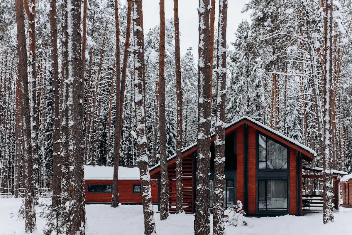 cabane forêt