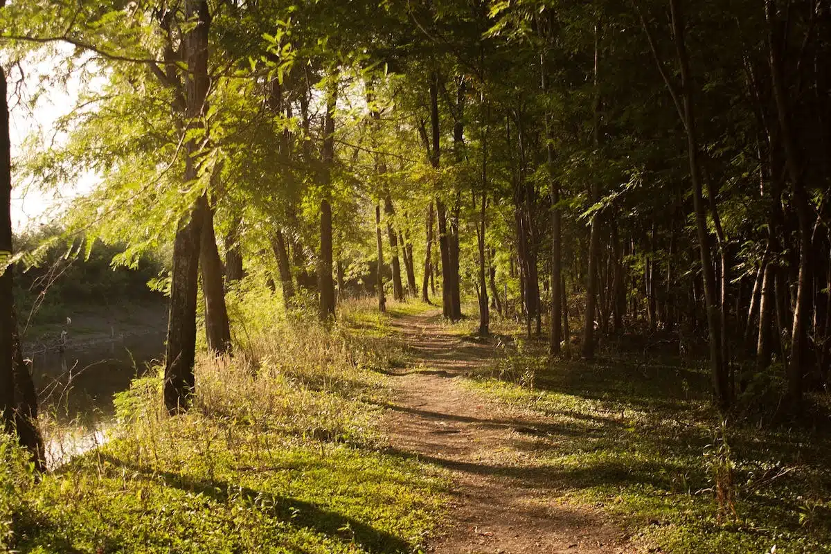 réserves naturelles