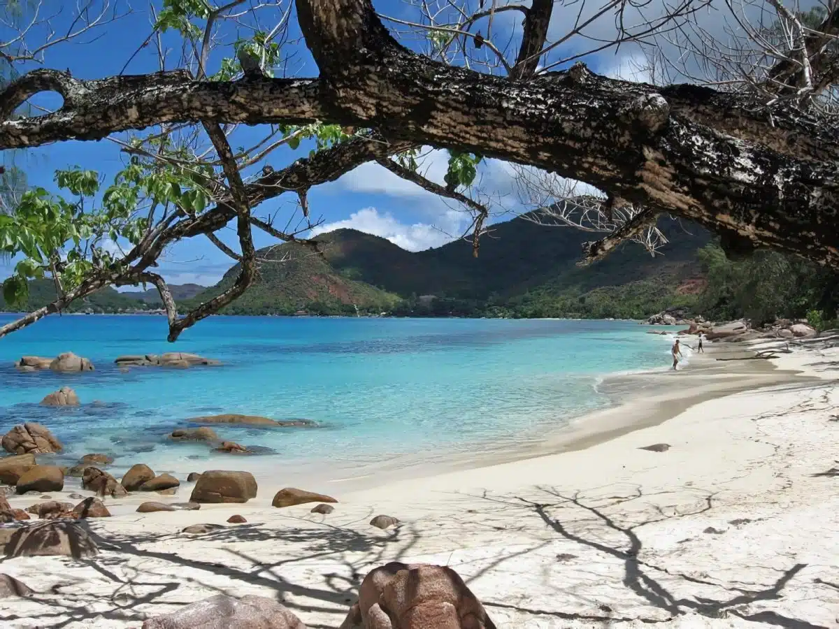 Comment visiter les Seychelles