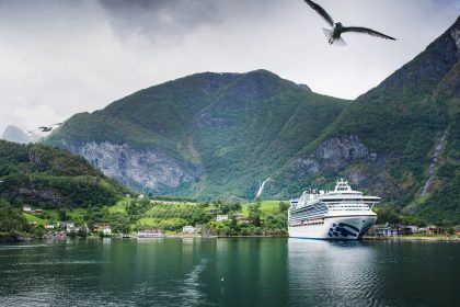 L’Antarctique en croisière : observer la faune sauvage dans son habitat naturel !