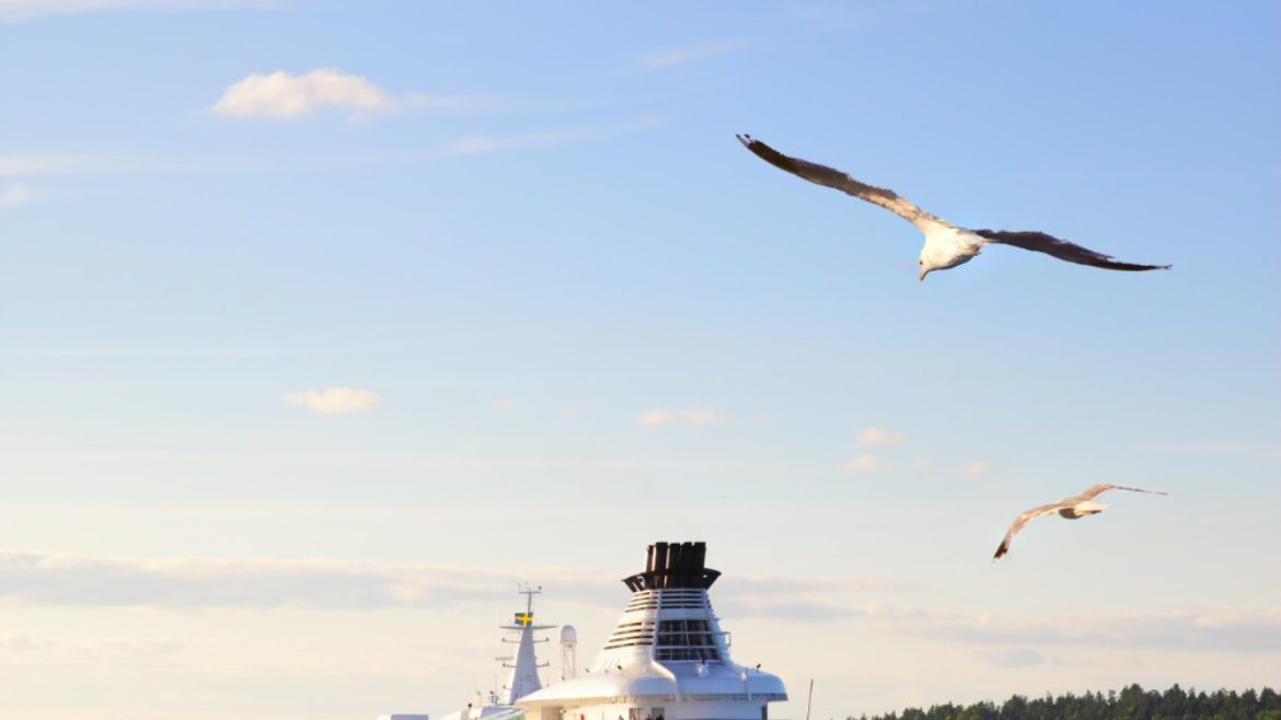 Les incontournables à bord sur un bateau de croisière