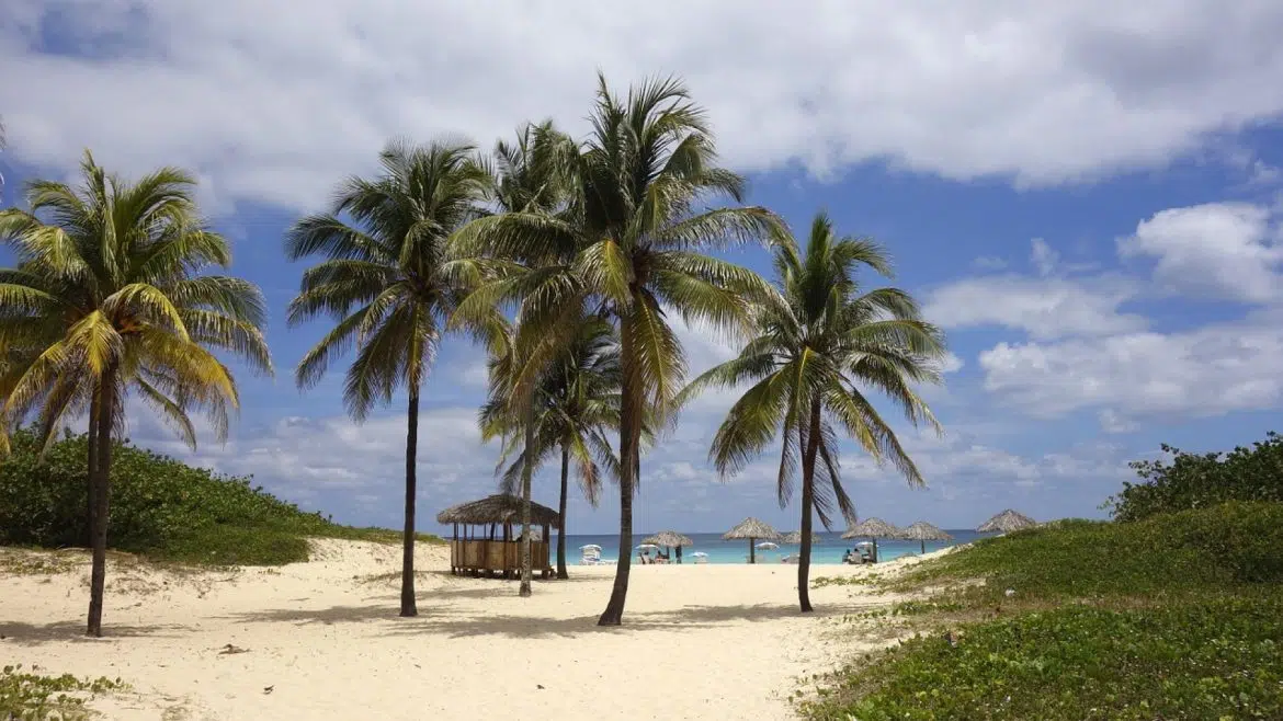 Quand partir à Cuba ?